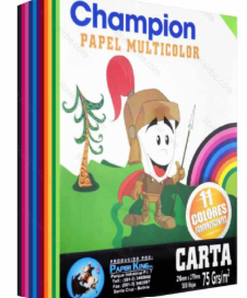 PAPEL BOND CARTA COLORES SURTIDOS X 25 HJS